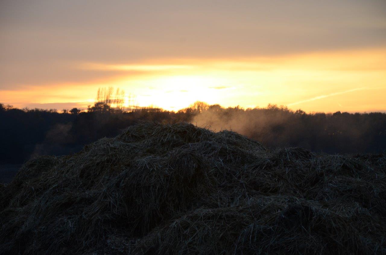 2015 11 condé sur vesgre (4)