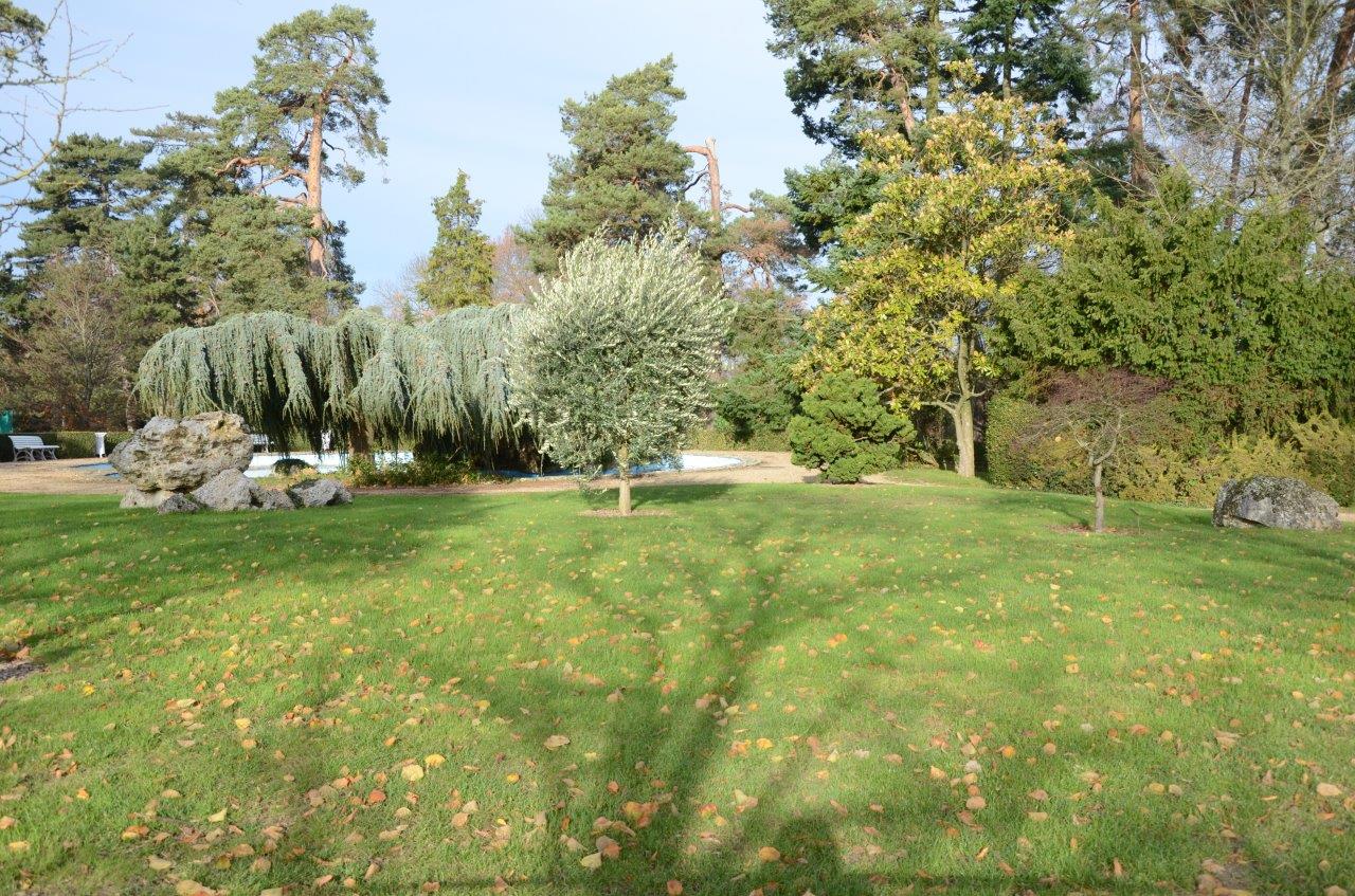 parc du château de Voisins