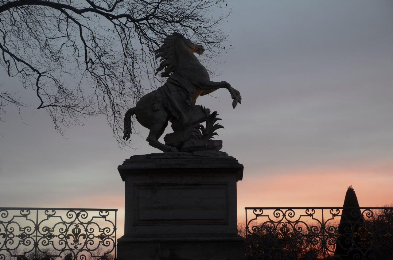 parc du château de St Germain