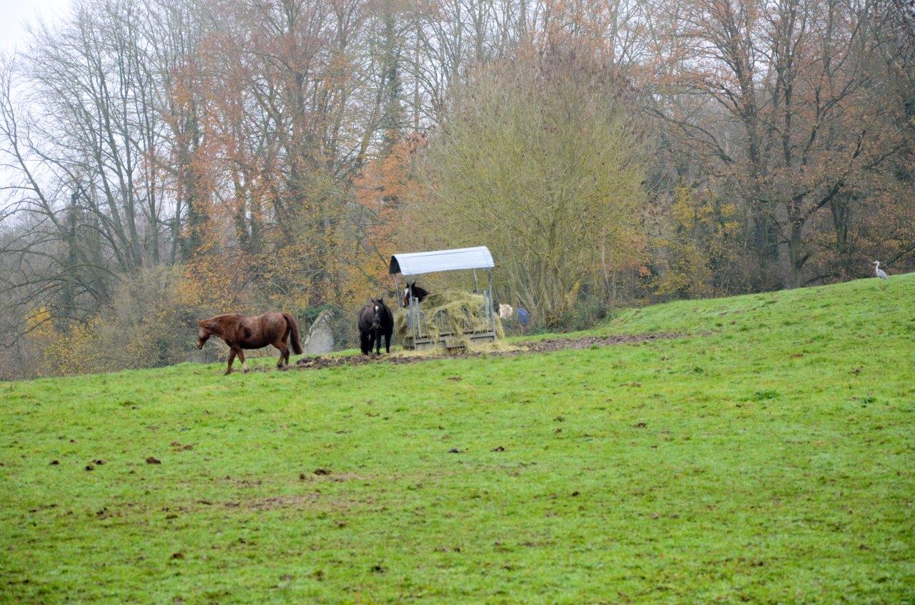 2015 12 plaine de versailles (23)