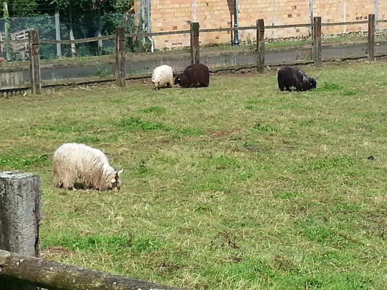 ferme à Janvry