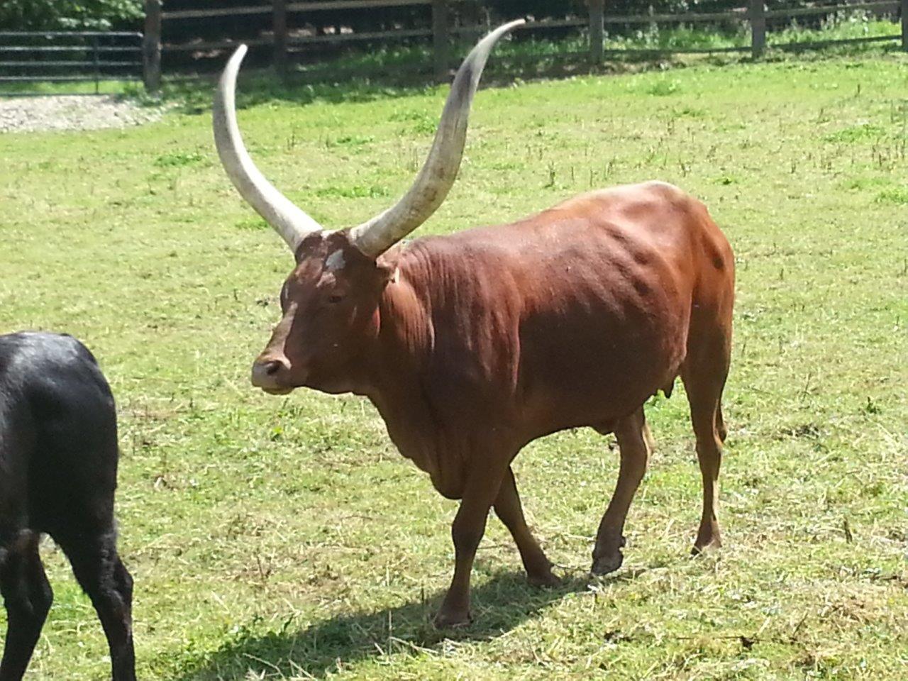 ferme à Janvry