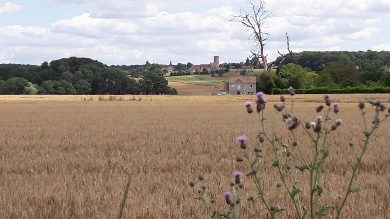 Tour de Maurepas