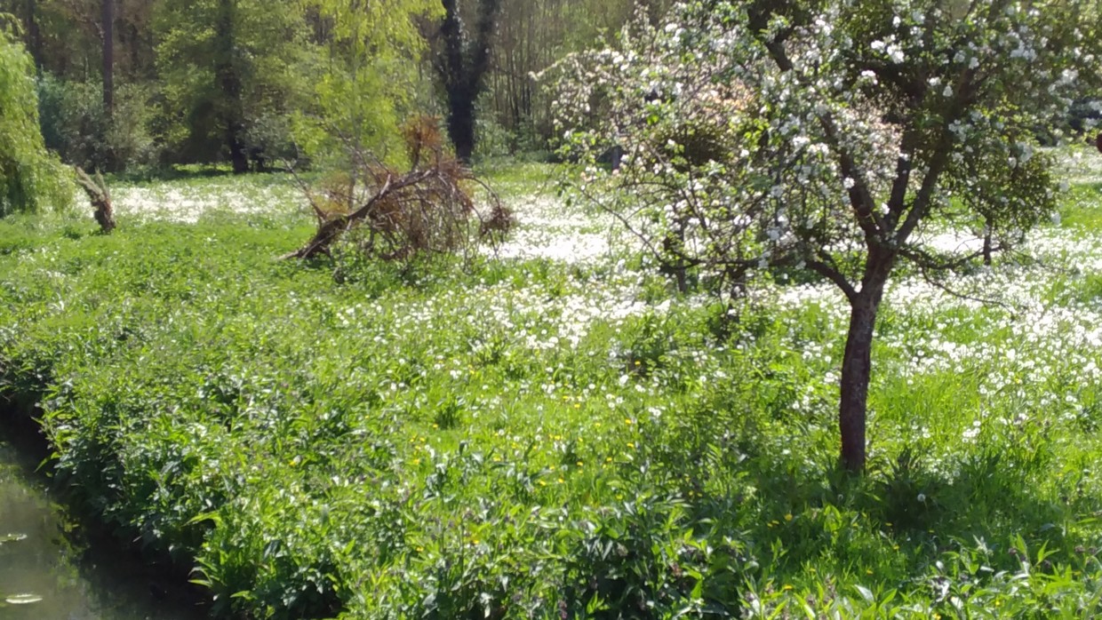 près du Moulin de Villemeux-sur-Eure