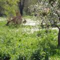 près du Moulin de Villemeux-sur-Eure