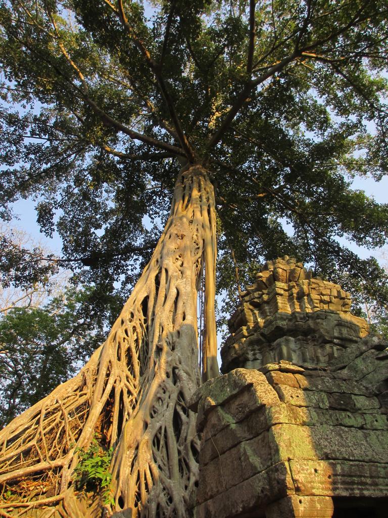 angkor