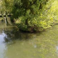 près du Moulin de Villemeux