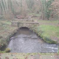 forêt de Rambouillet