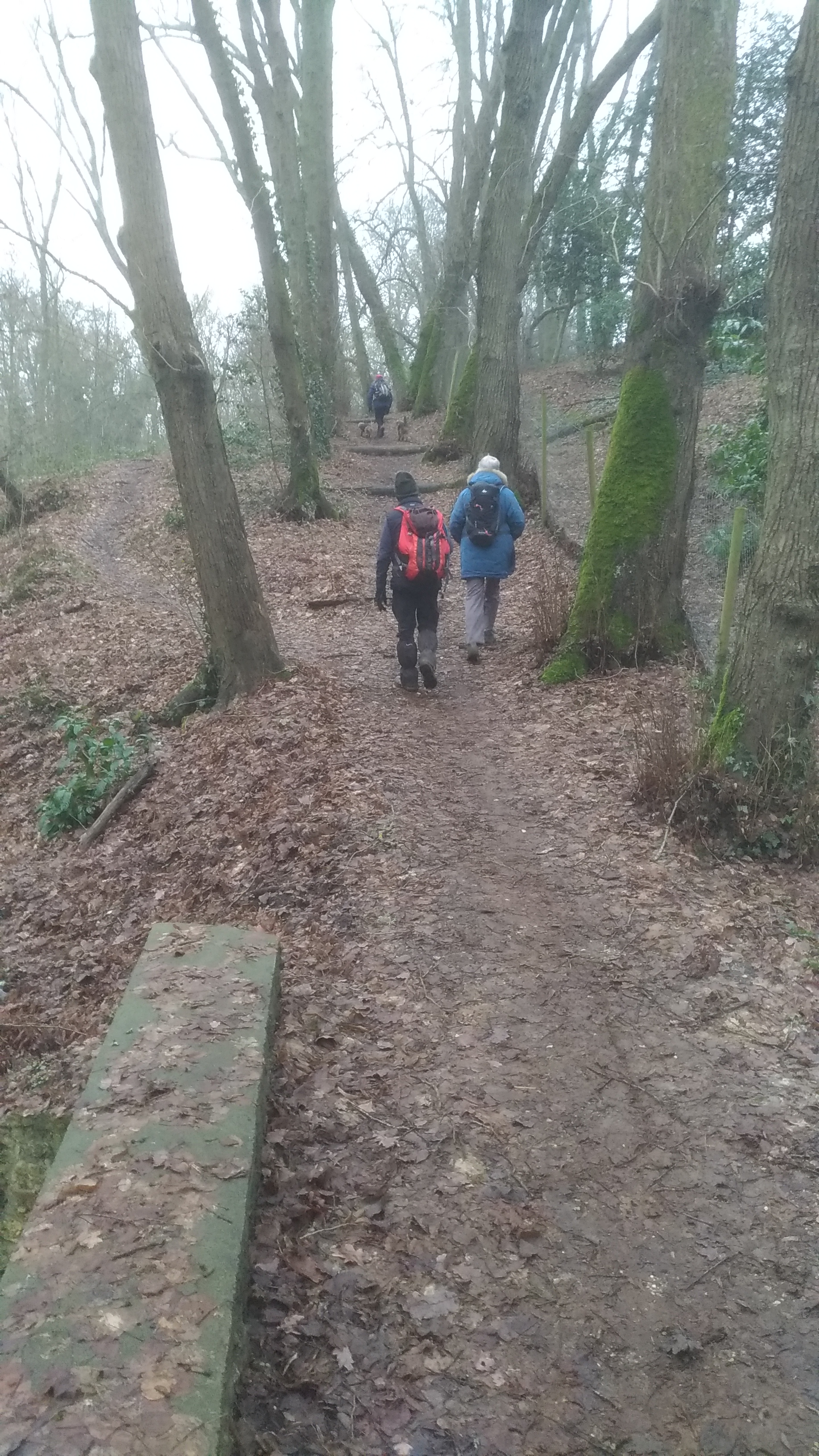 forêt de Rambouillet