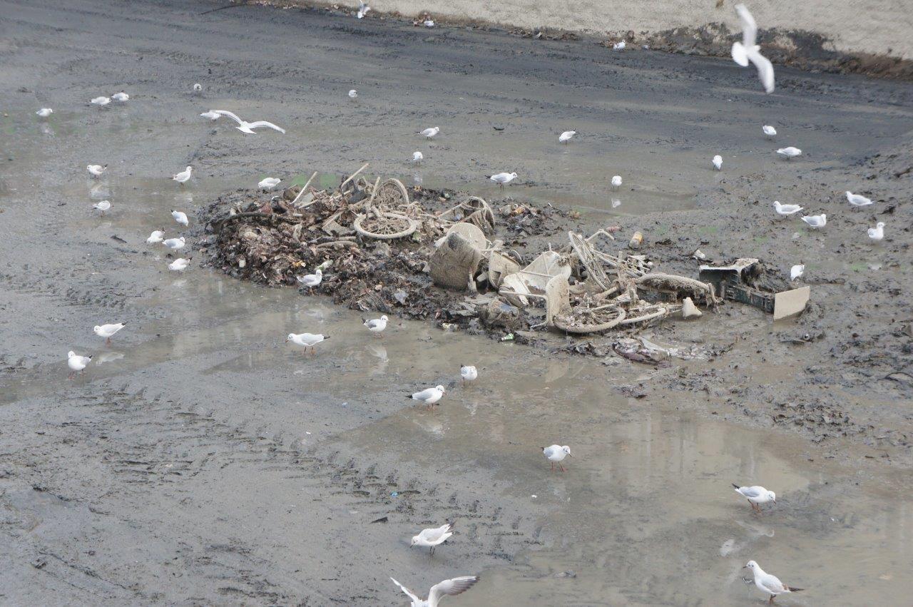 2016 02 canal st martin 6