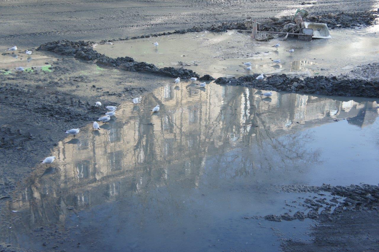 2016 02 canal st martin 9