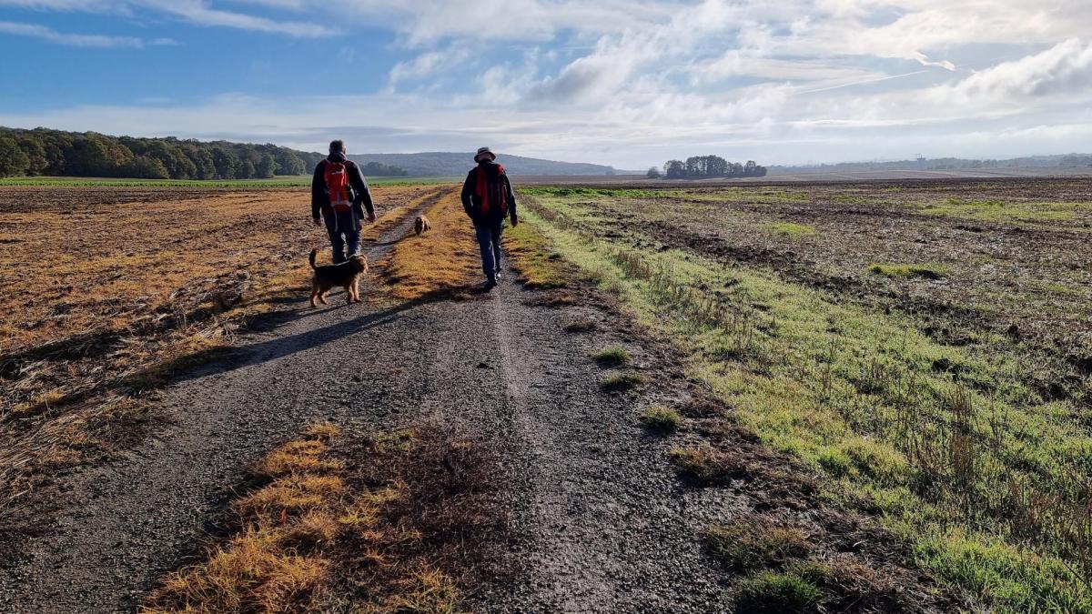 Rando au départ de Fontenay-Saint-Père
