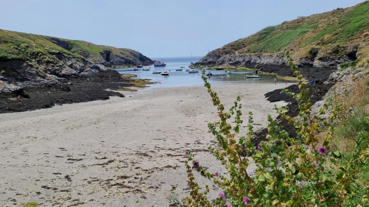 randonnée,belle-ile-en-mer,