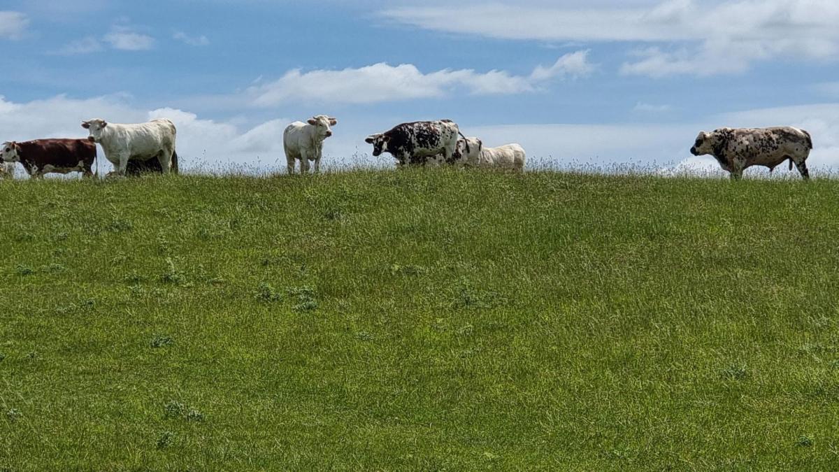 rando,rouvres;randonnéé,berchères,vesgre,