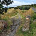 Le chemin du Puy est une des voies qui mène à Compostelle. Son numéro est :