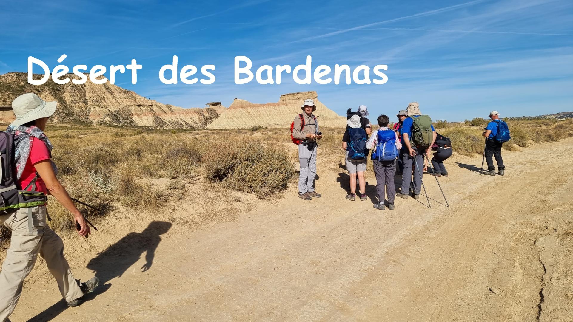 Bardenas1