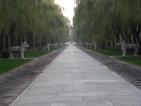 Dsc01058 12