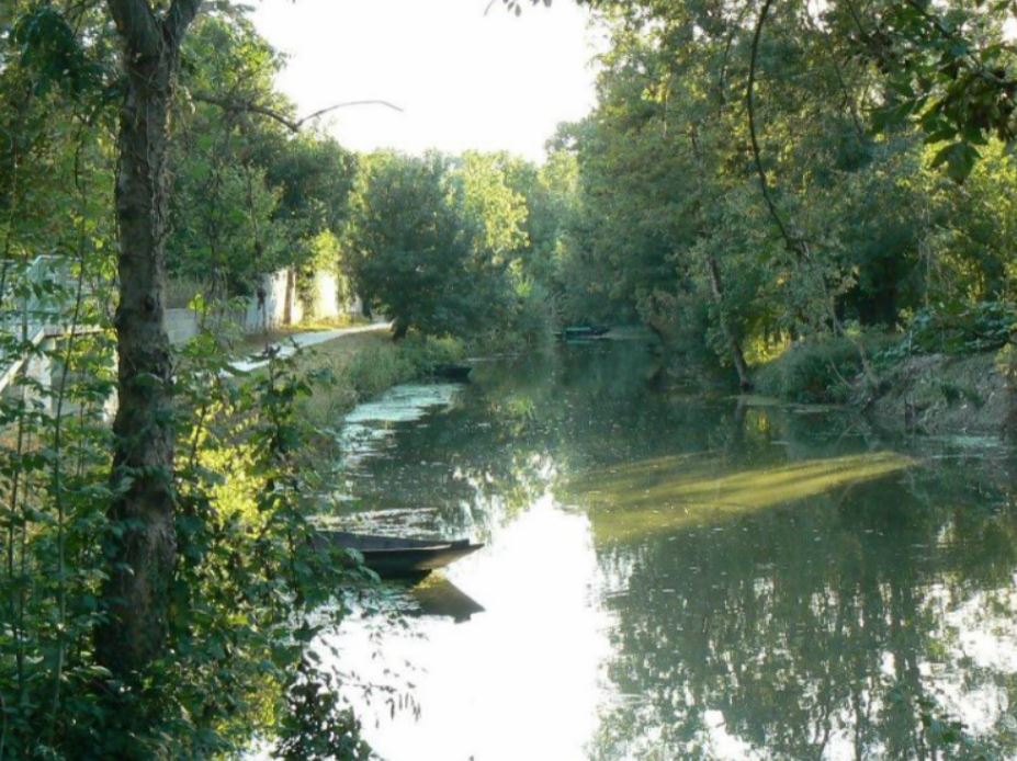 Marais poitevin