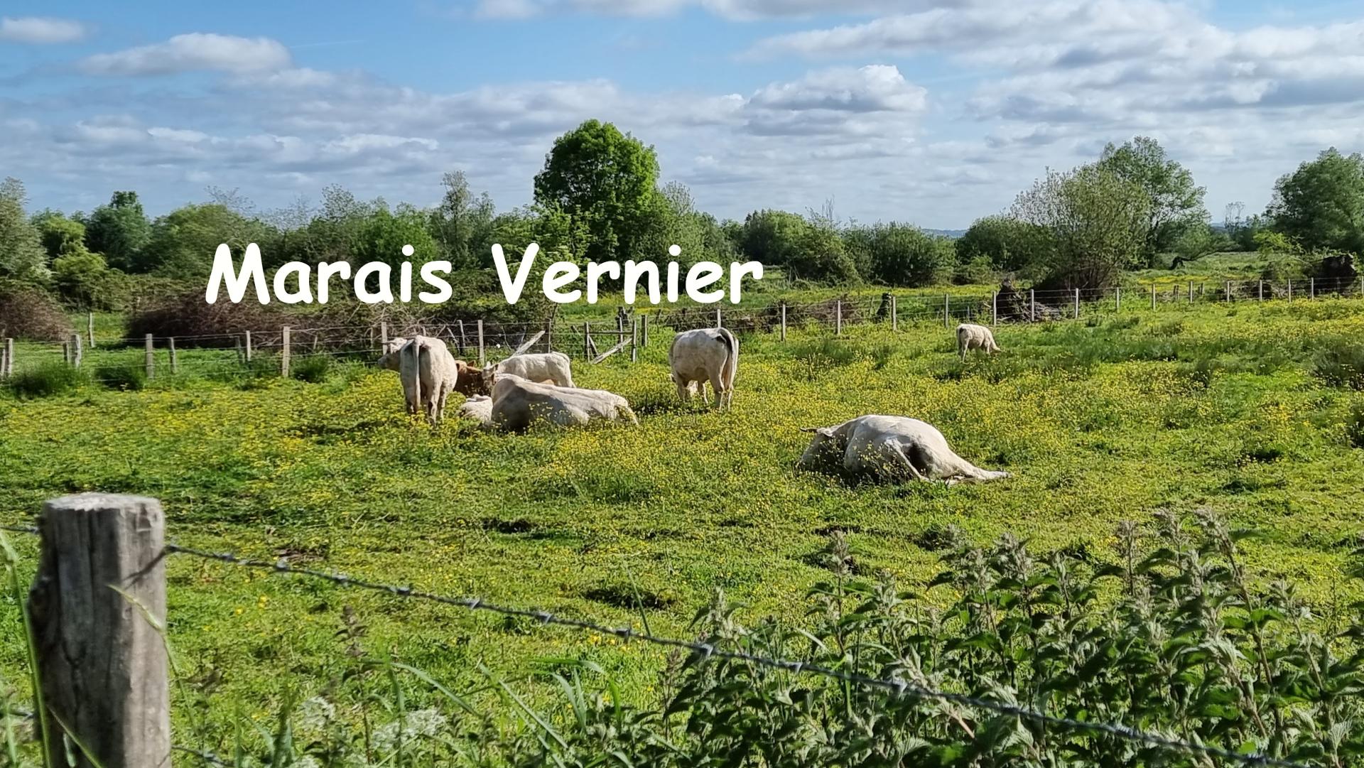 Marais vernier 3