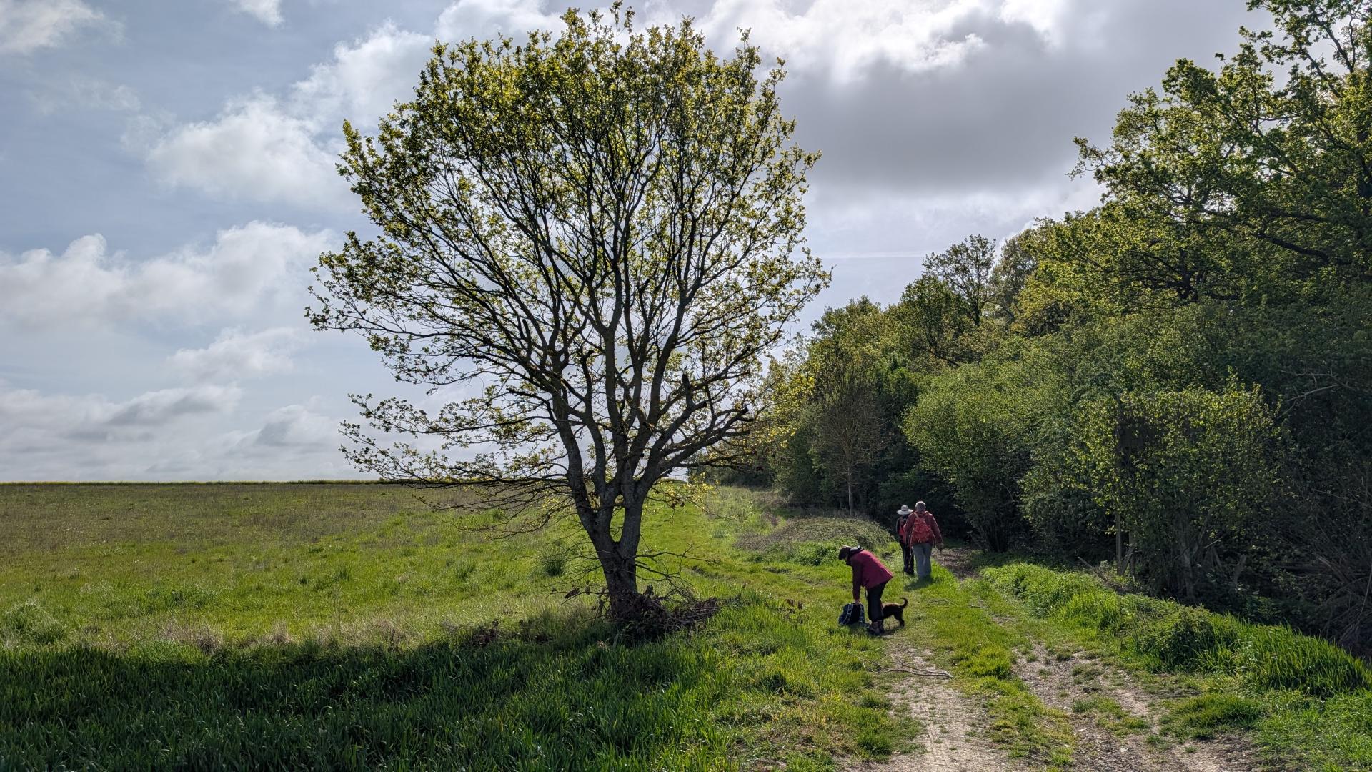 Pxl 20260416 085716358