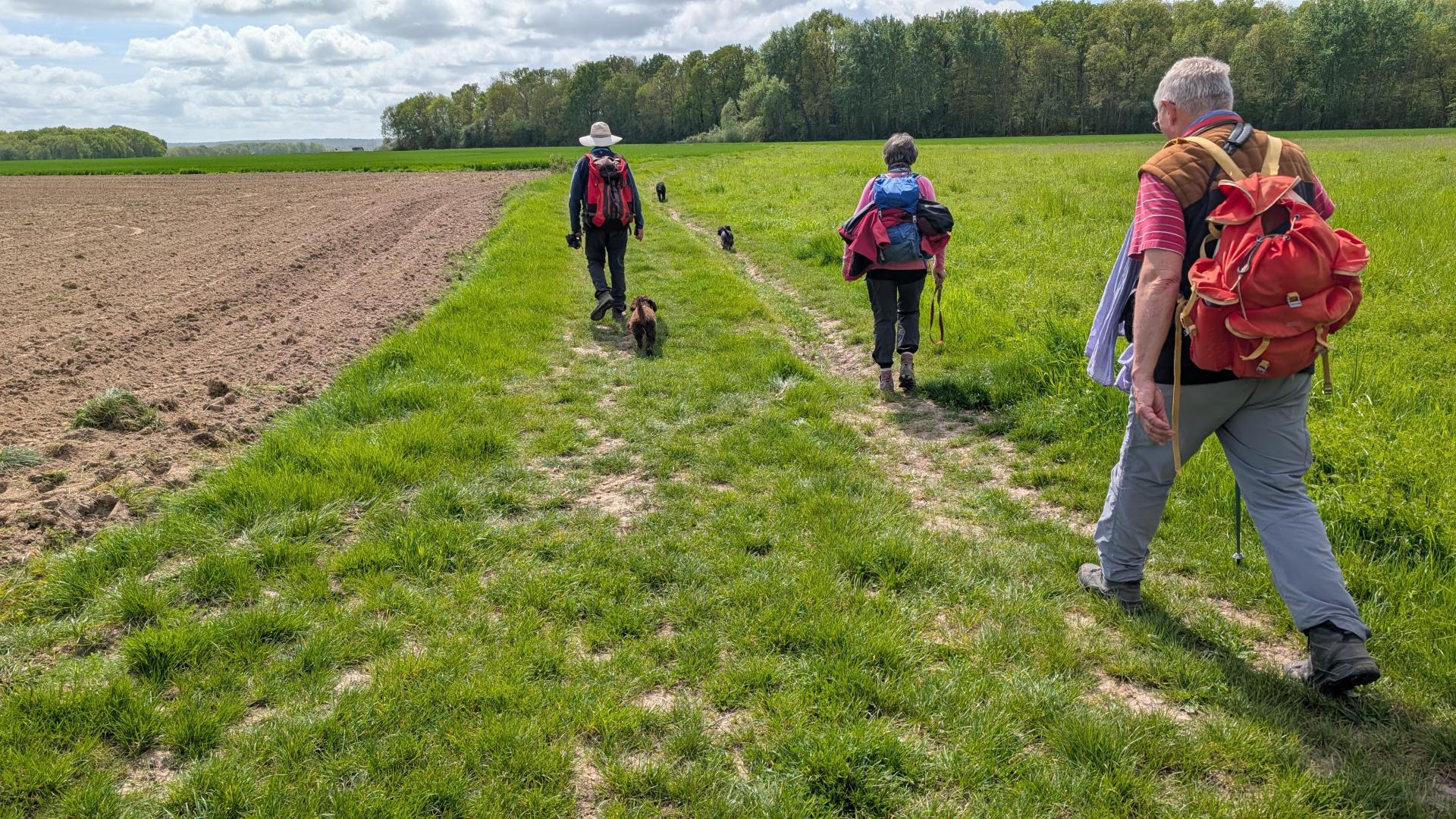 Pxl 20260416 111819355