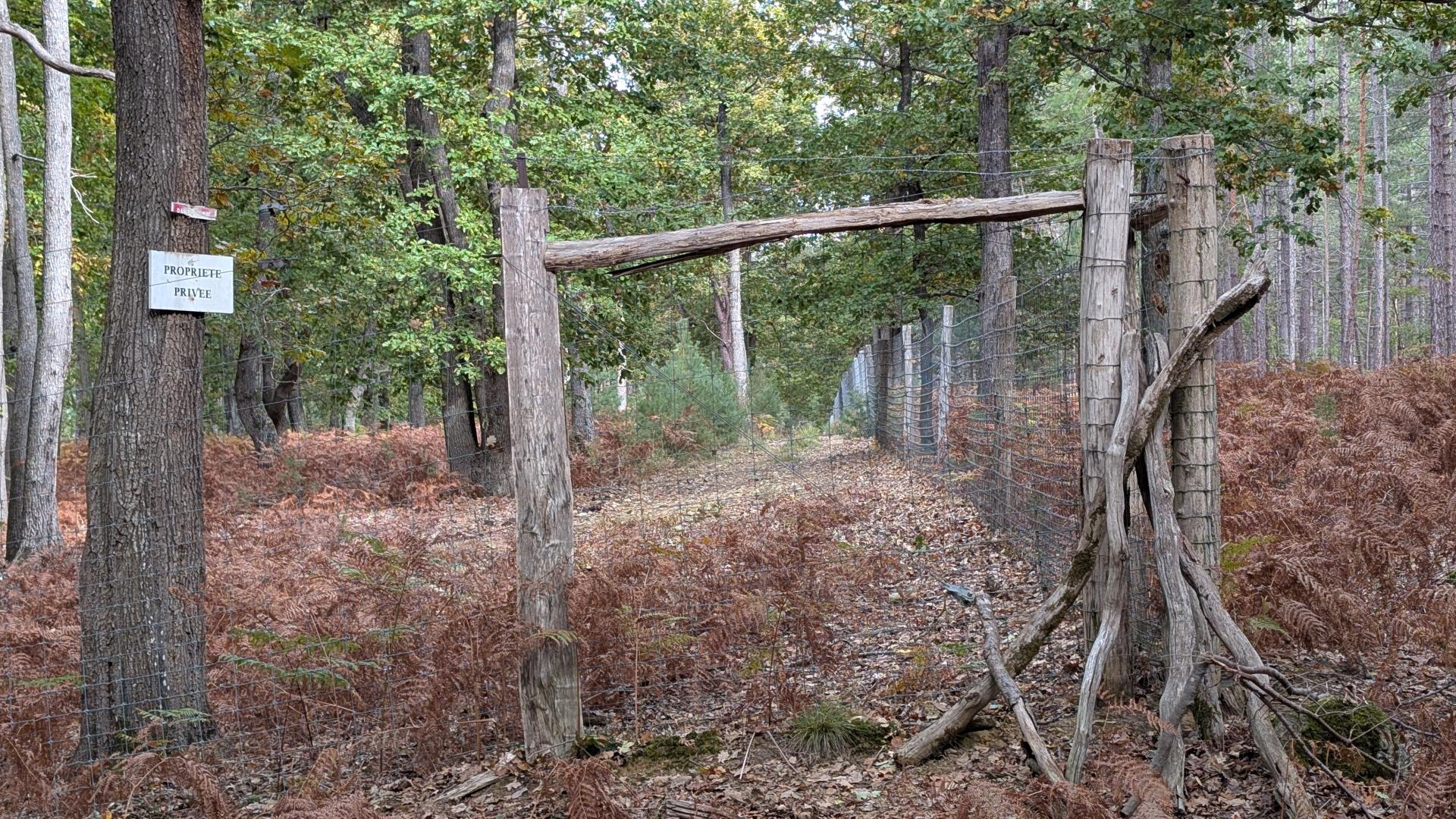 forêt de Rambouillet
