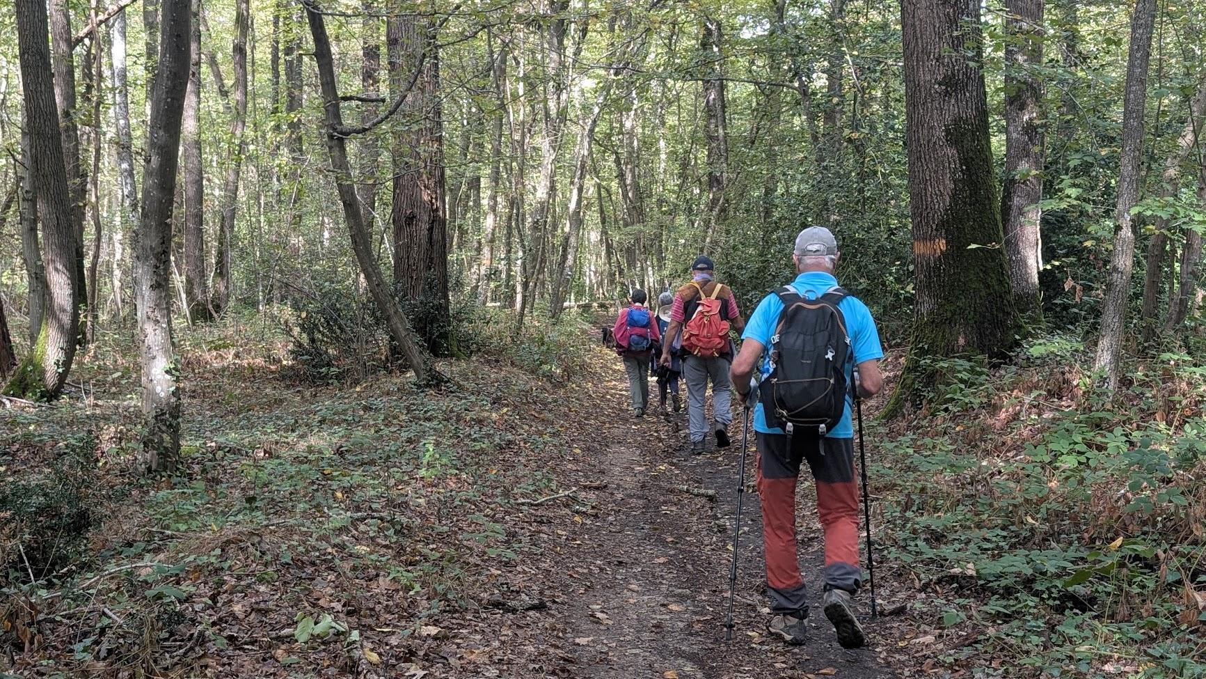 Forêt de Rosny